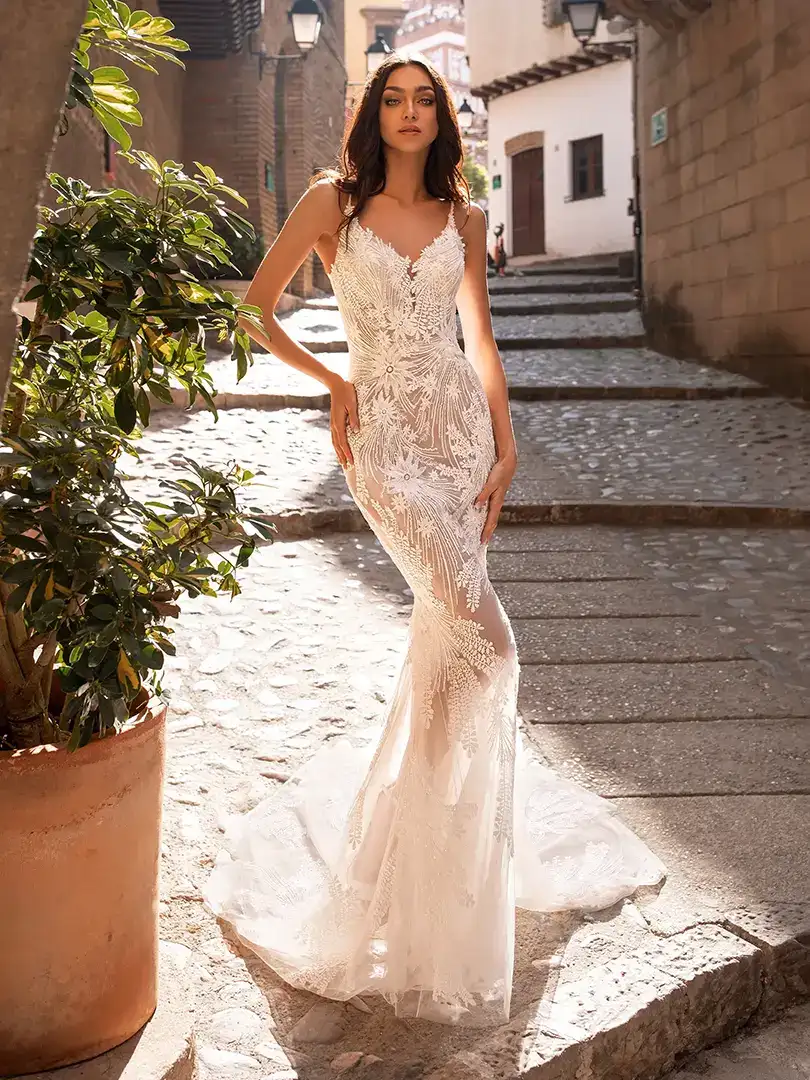 ALBIORIX, Robe de mariée PRONOVIAS Mâcon